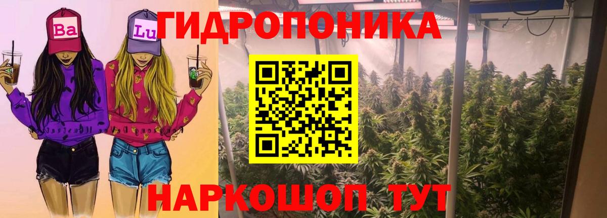 Конопля семена Белорецк